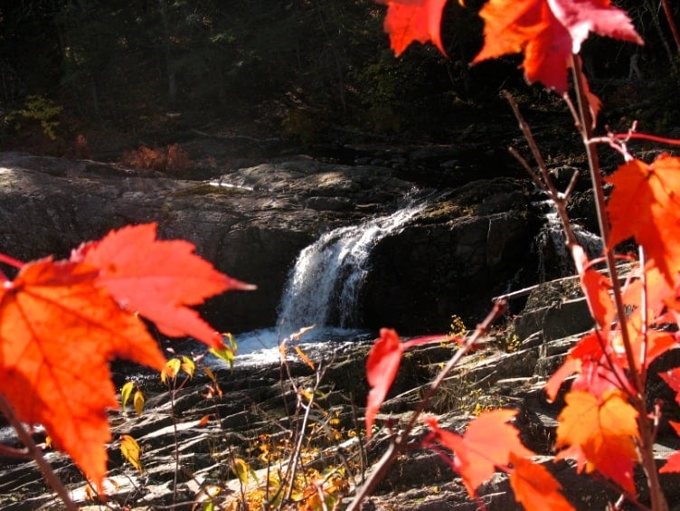 The Awesome Mitten-Peak Colors In Marquette And Where To See Them