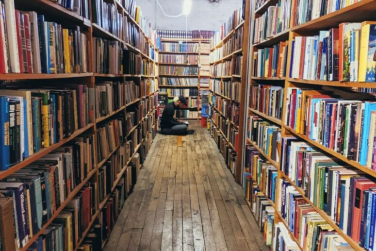 19 BEST Independent Michigan Bookstores for a New Read