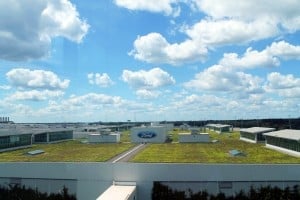 An overhead view of the plant-covered Rouge Factory roof