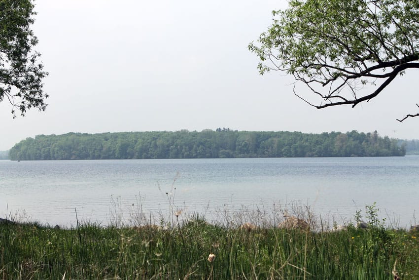 The Awesome Mitten-Uncovering The Mystery Of Apple Island