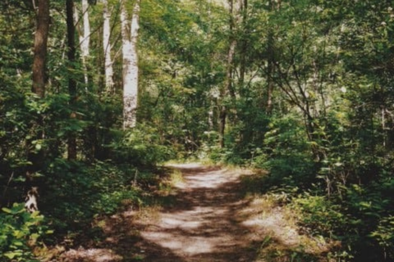 Bald Mountain State Recreation Area