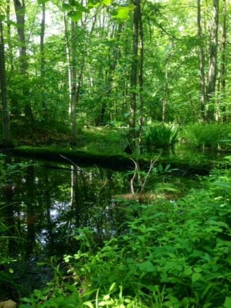 The Awesome Mitten - Bald Mountain State Recreation Area
