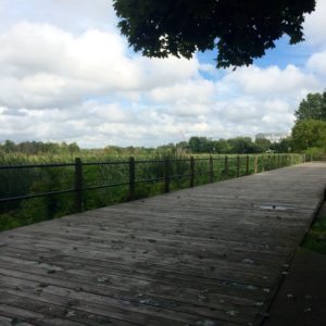 Things To Do In Holland Michigan