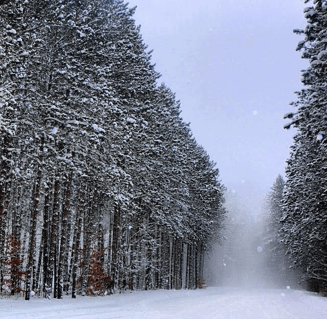 Michigan Winter Activities