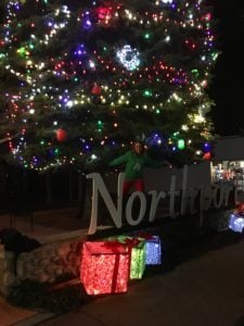 The 12 Dates Of Christmas: Michigan Edition - The Awesome Mitten