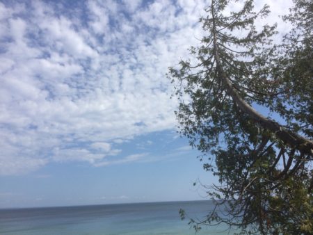 An Ode To The Mitten - The Awesome Mitten