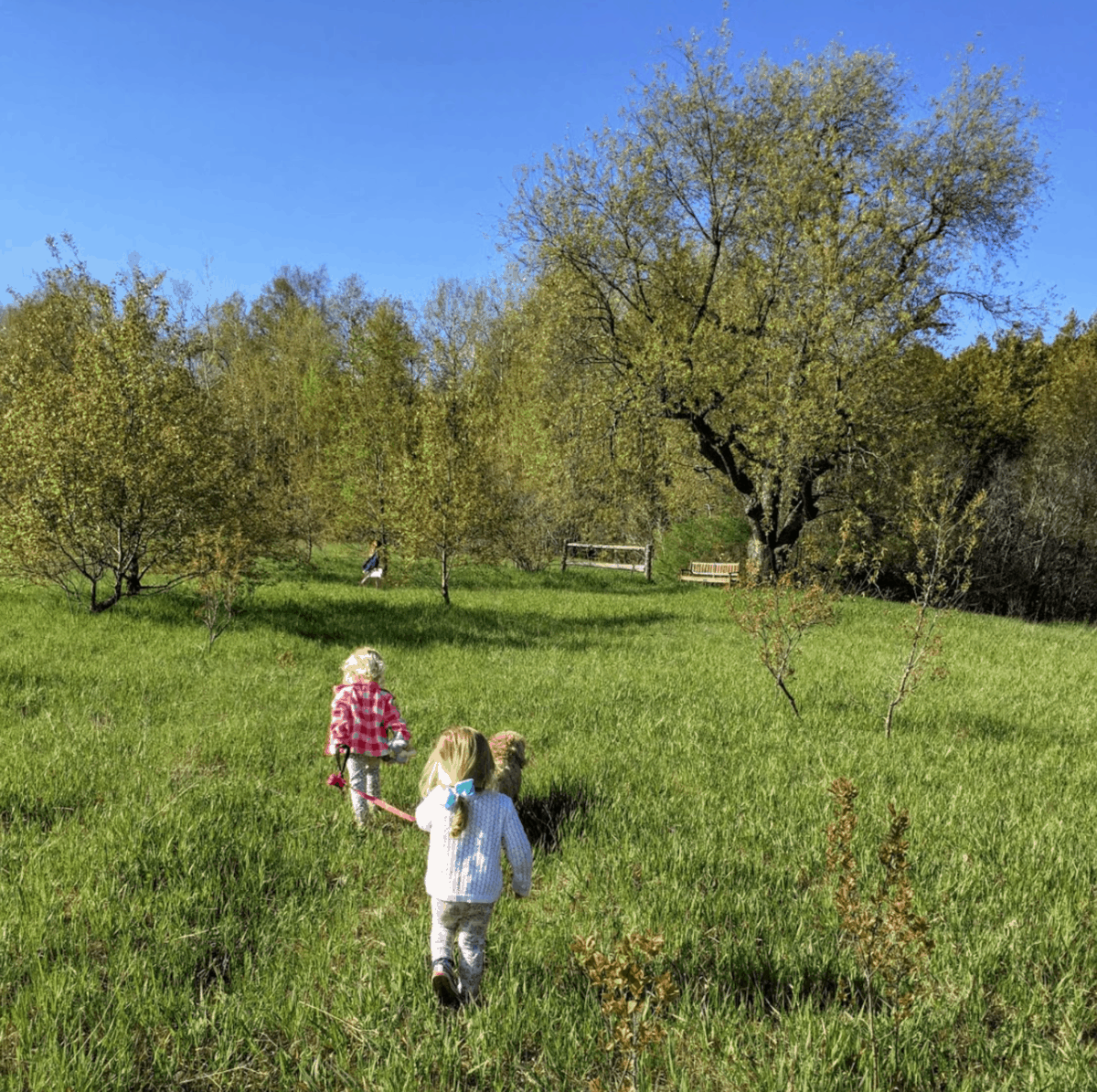 6 Great Hikes For The Whole Family In The Traverse City Region - The Awesome Mitten