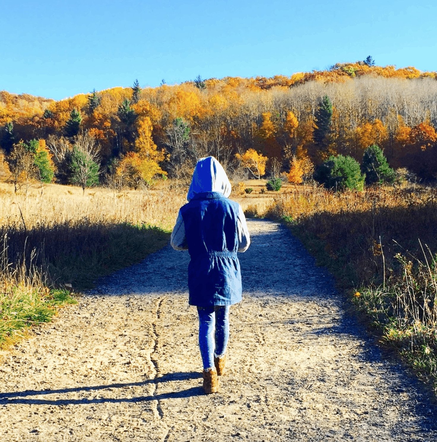 6 Great Hikes For The Whole Family In The Traverse City Region - The Awesome Mitten 6 Great Hikes For The Whole Family In The Traverse City Region - The Awesome Mitten