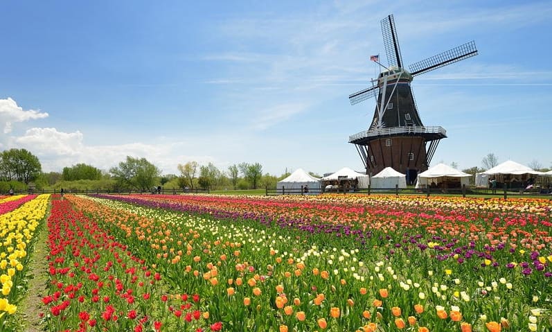 Tulip Time Festival, Holland - Spring Festivals