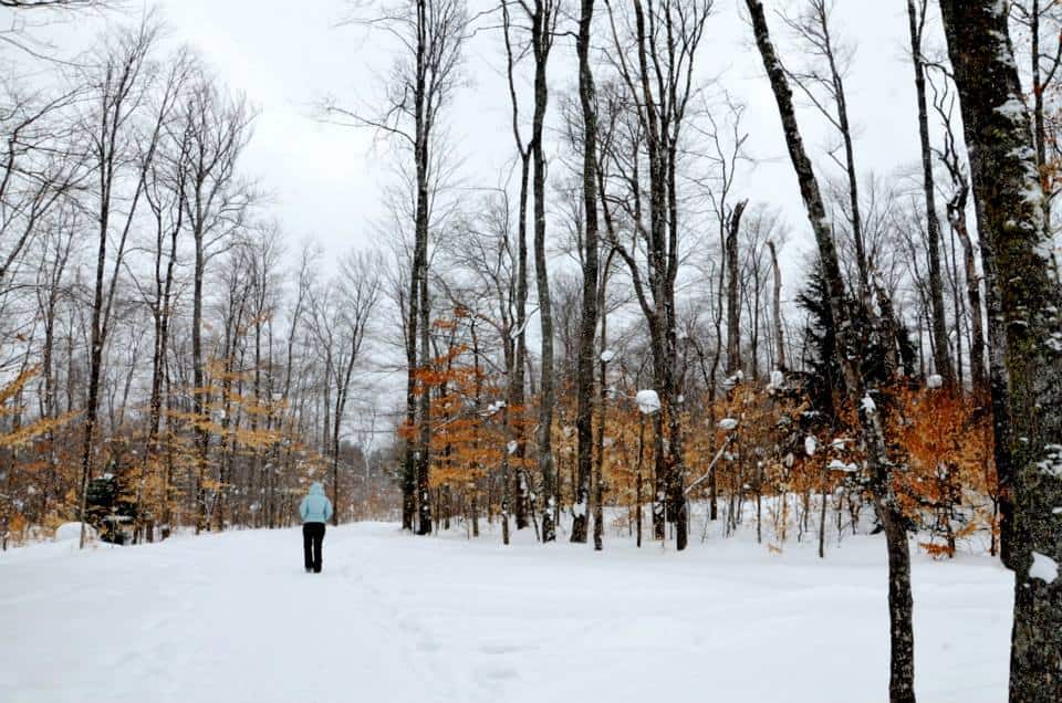 Tahquamenon Falls4