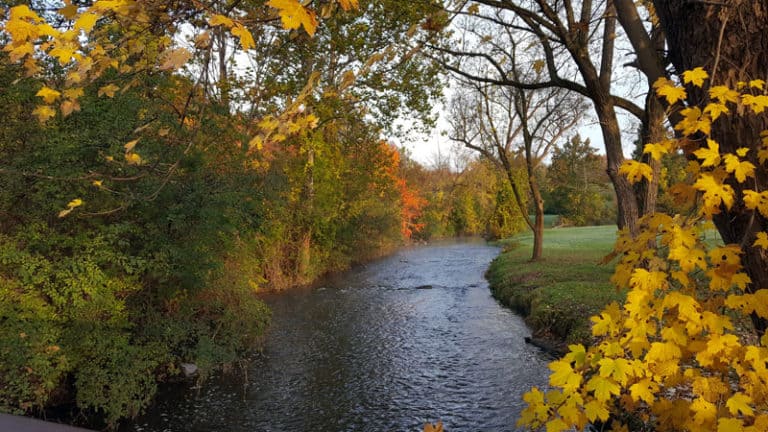 BEST Backroads for Fall Color Drives in Michigan 2026