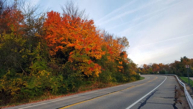 Hines Drive Fall color tour, Metro Detroit, Southeastern Michigan