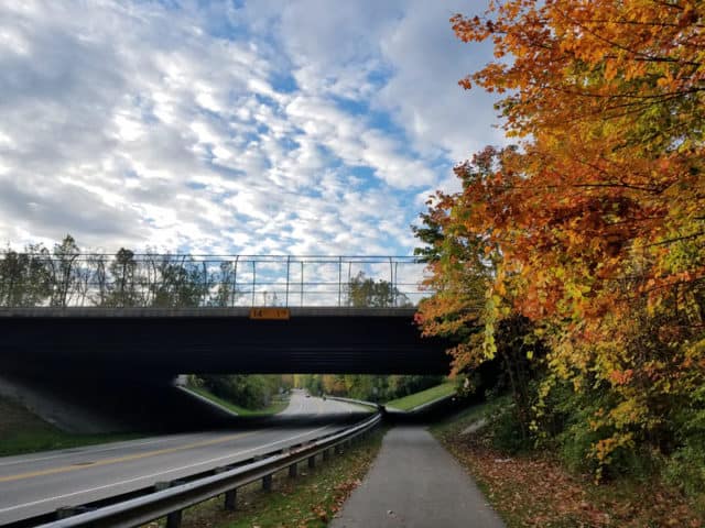 Hines Drive Fall color tour, Metro Detroit, Southeastern Michigan