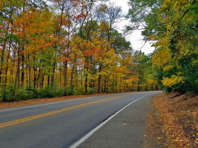Hines Drive Fall color tour, Metro Detroit, Southeastern Michigan