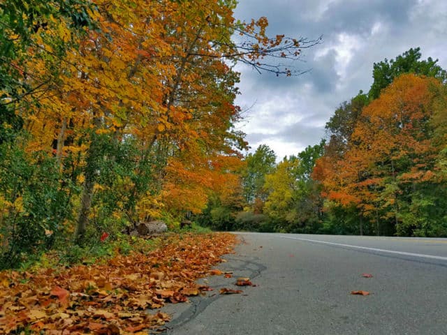 Hines Drive Fall color tour, Metro Detroit, Southeastern Michigan