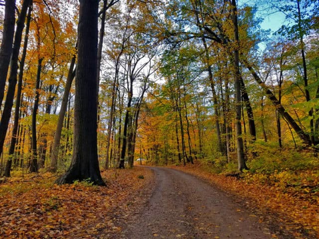 Hines Drive Fall color tour, Metro Detroit, Southeastern Michigan