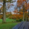 Hines Drive Fall color tour, Metro Detroit, Southeastern Michigan