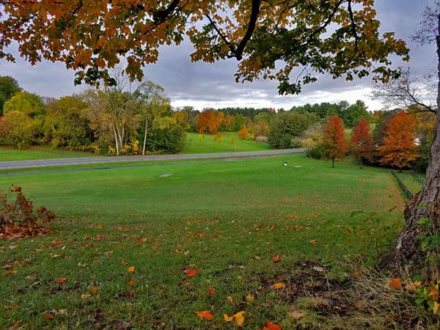 Hines Drive Fall color tour, Metro Detroit, Southeastern Michigan