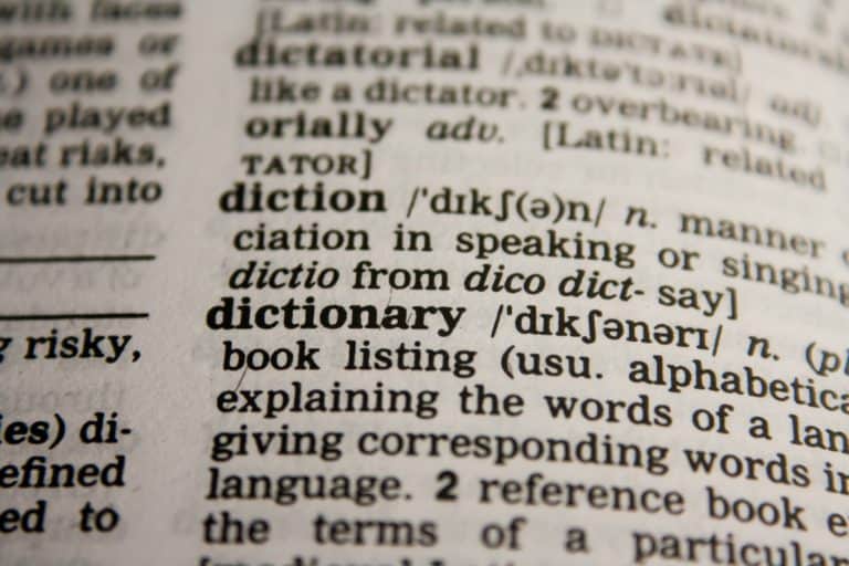 The Michigan Words and Slang You Need To Know - The Awesome Mitten 2