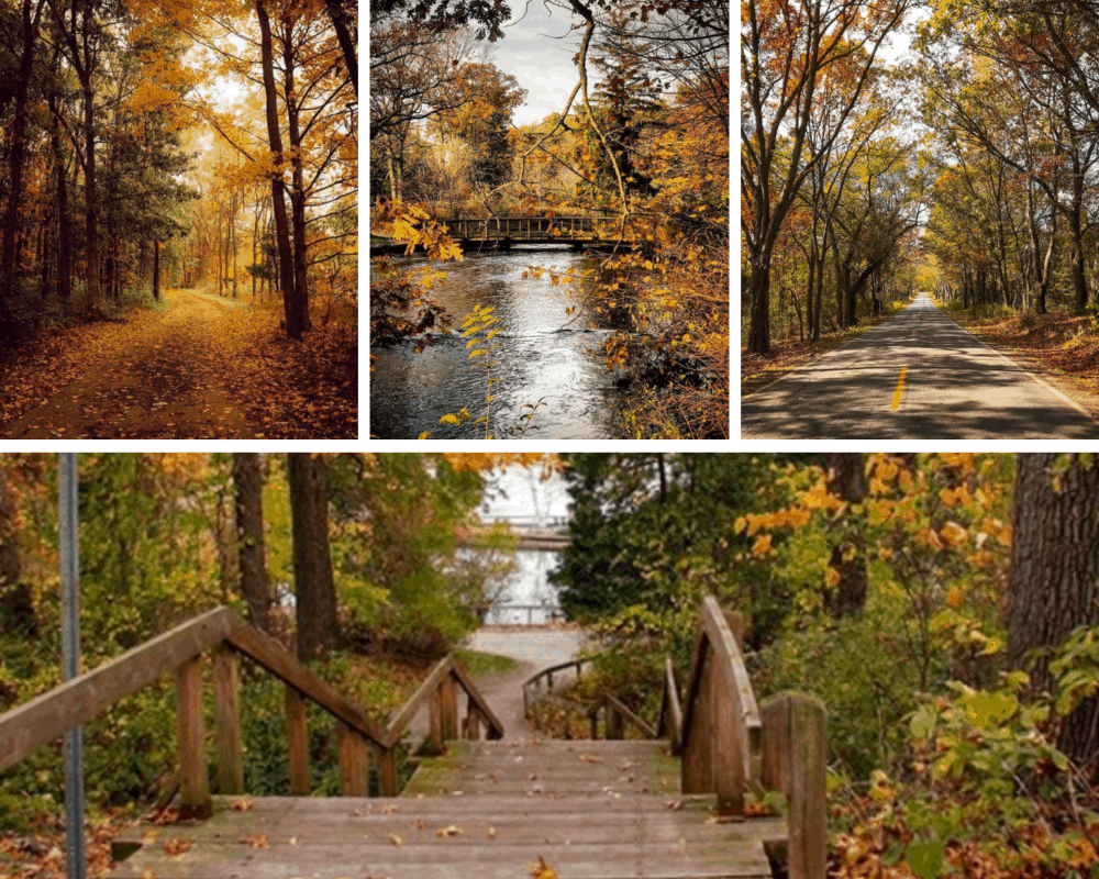 Fall In Kalamazoo Michigan