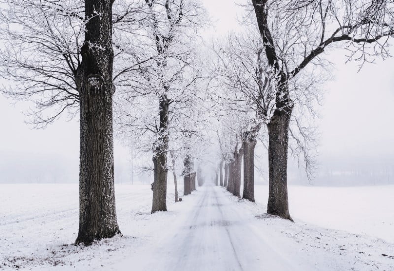 Romantic Winter Getaways In Michigan