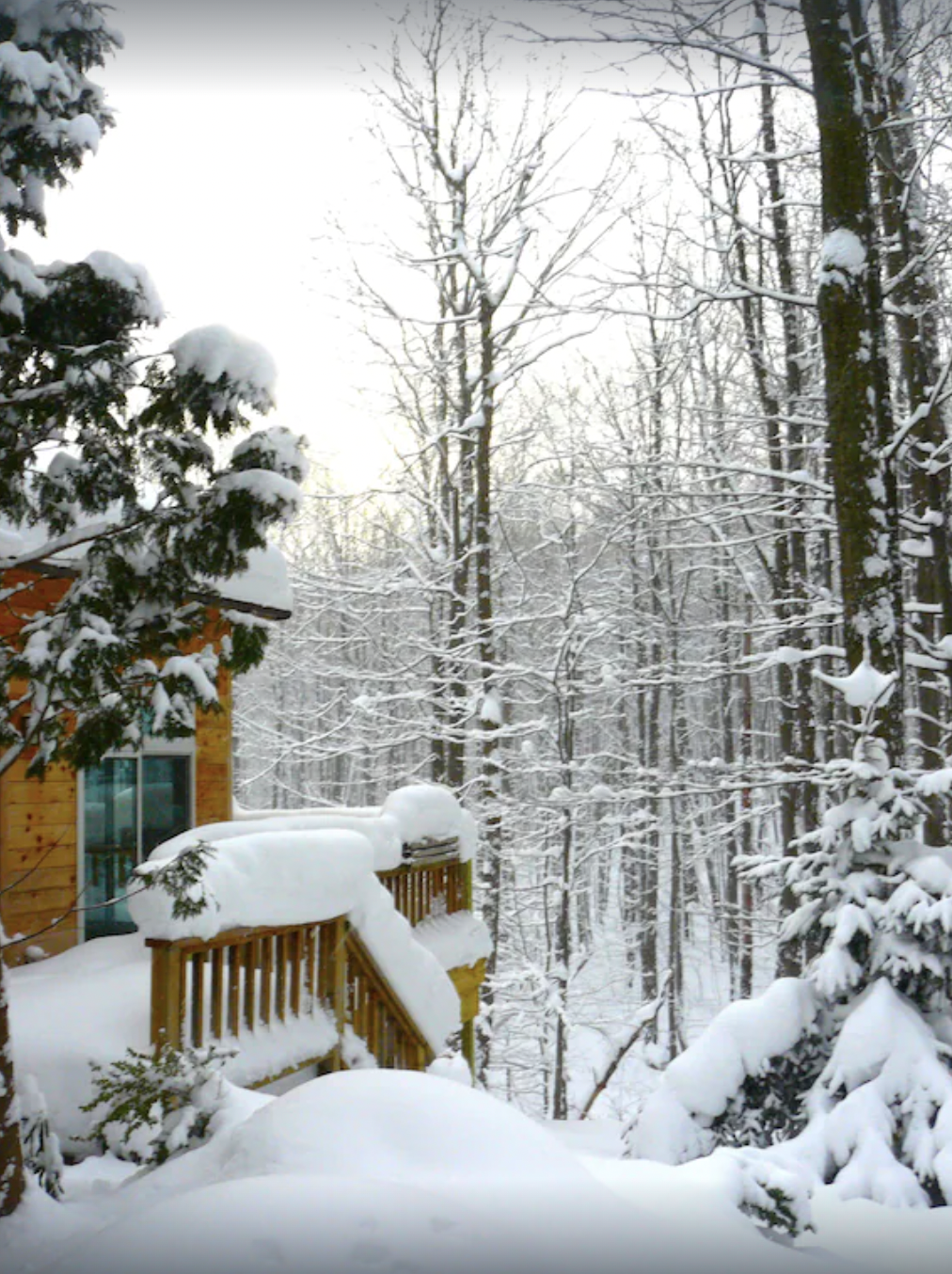 Tree House In Michigan 14 Treehouse Rentals in Michigan | Michigan Treehouses for Rent