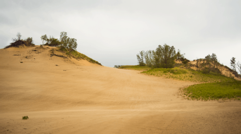 Warren Dunes