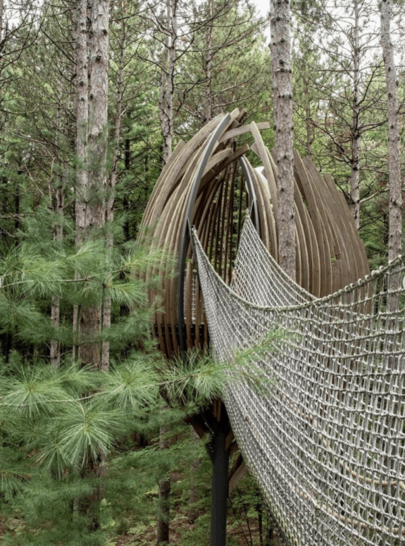 Whiting Forest Canopy Walk - Midland Michigan