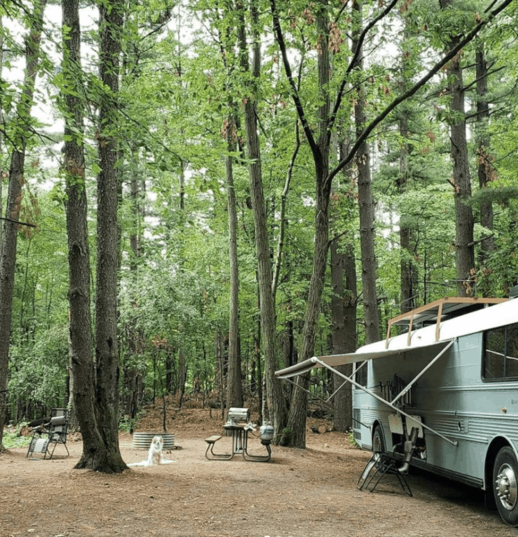 Hayesstatepark Stacyskoolie