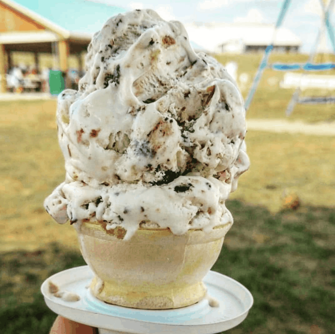 Indulge In Ice Cream This Summer In Michigan At Moo-Ville Farm &Amp; Creamery