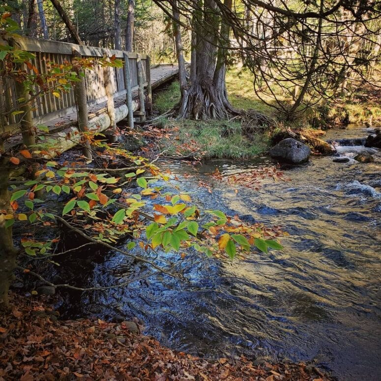 Seven Bridges Scenic Pathway, Rapid City, Michigan