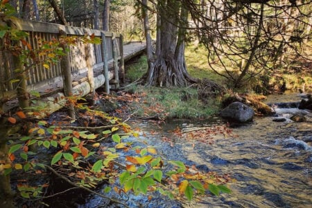Seven Bridges Scenic Pathway