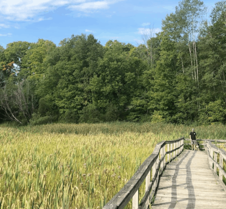 Fred Meijer White Pine Trail State Park