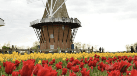 Windmill Island Gardens