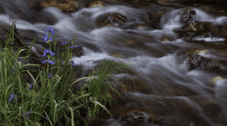 Fumee Falls