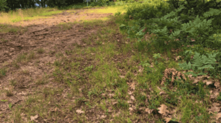 Disc Golf At Hanson Hills