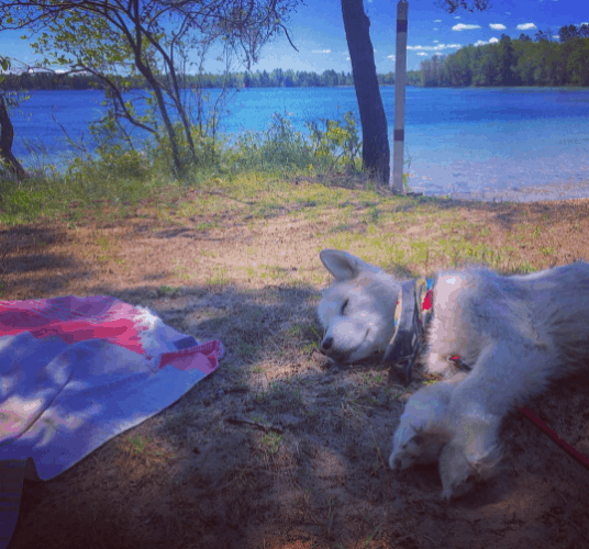 Clear Lake State Park