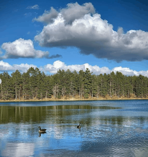 Clearlakestatepark Strittsfirefilms
