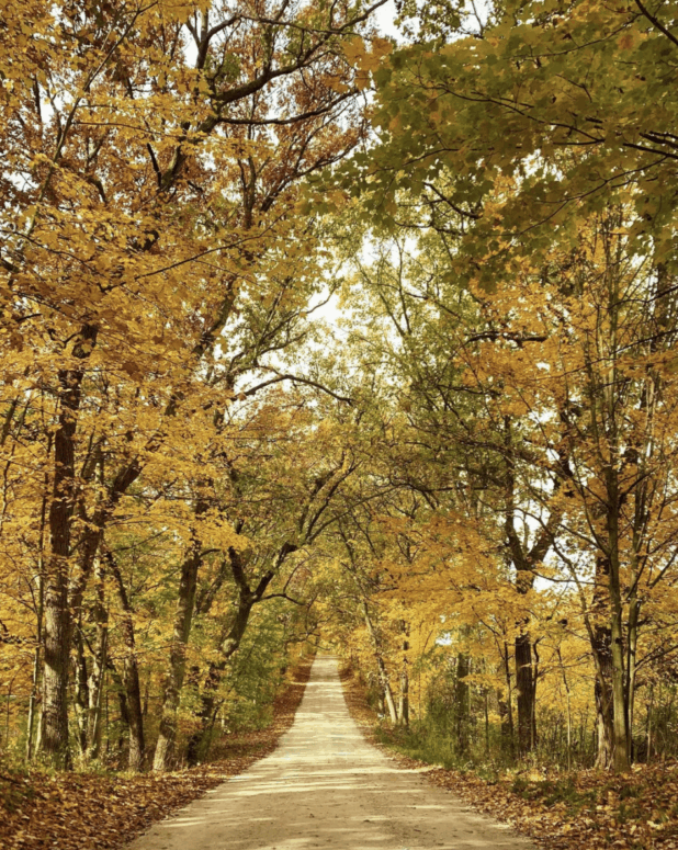 Cannonsburg Road - West Michigan Fall Scenic Drives