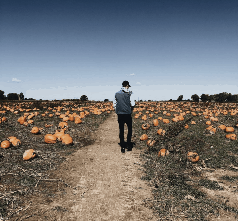 Country Mill Orchard And Cider Mill, Charlotte - Greater Lansing Pumpkin Patches