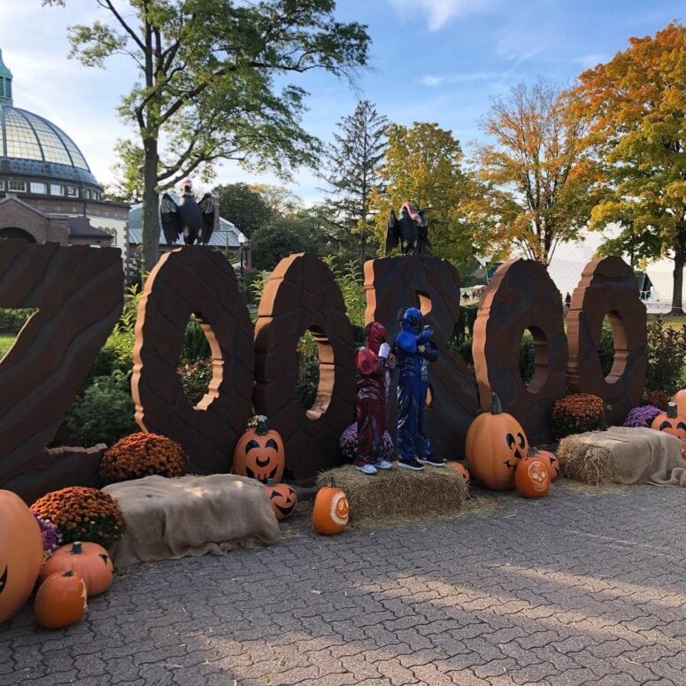 Detroit Zoo - Zoo Boo-Royal Oak