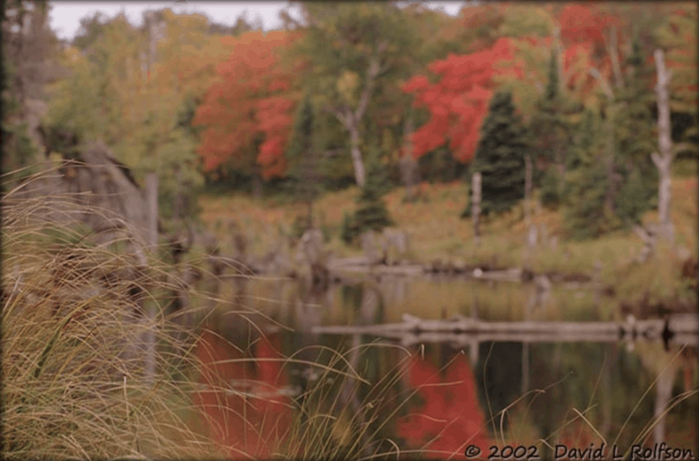 Greenstone Ridge Trail, Isle Royal - Fall Hiking Trails