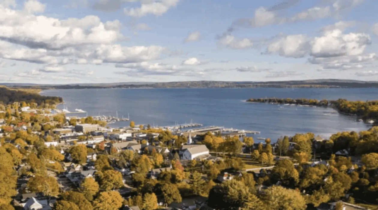 northern tree service parry sound