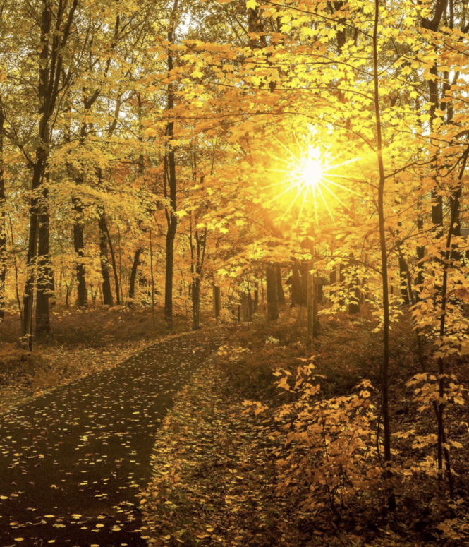 Huron County Nature Center, Port Austin - Fall Hiking Trails