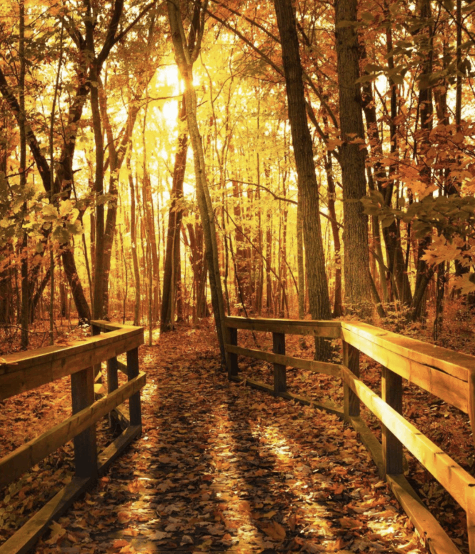 Huron County Nature Center, Port Austin - Fall In East Michigan