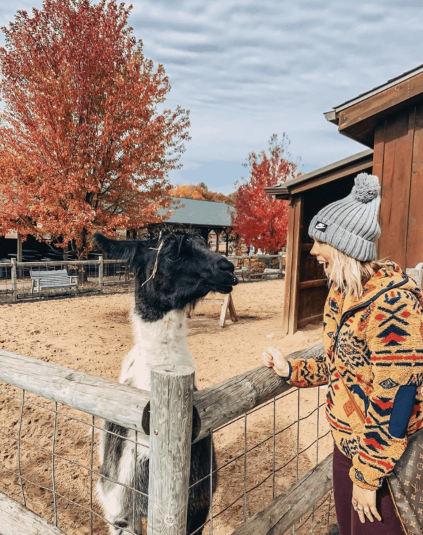 Lewis Adventure Farm And Zoo, New Era - Fall In West Michigan