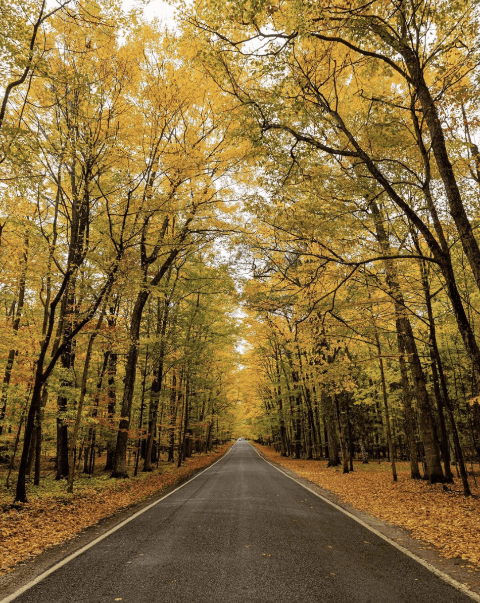 M-119 - Northern Michigan Fall Scenic Drives