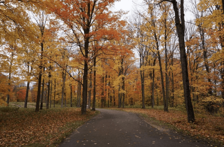 M-37 White Cloud To Newaygo - Fall Scenic Drives
