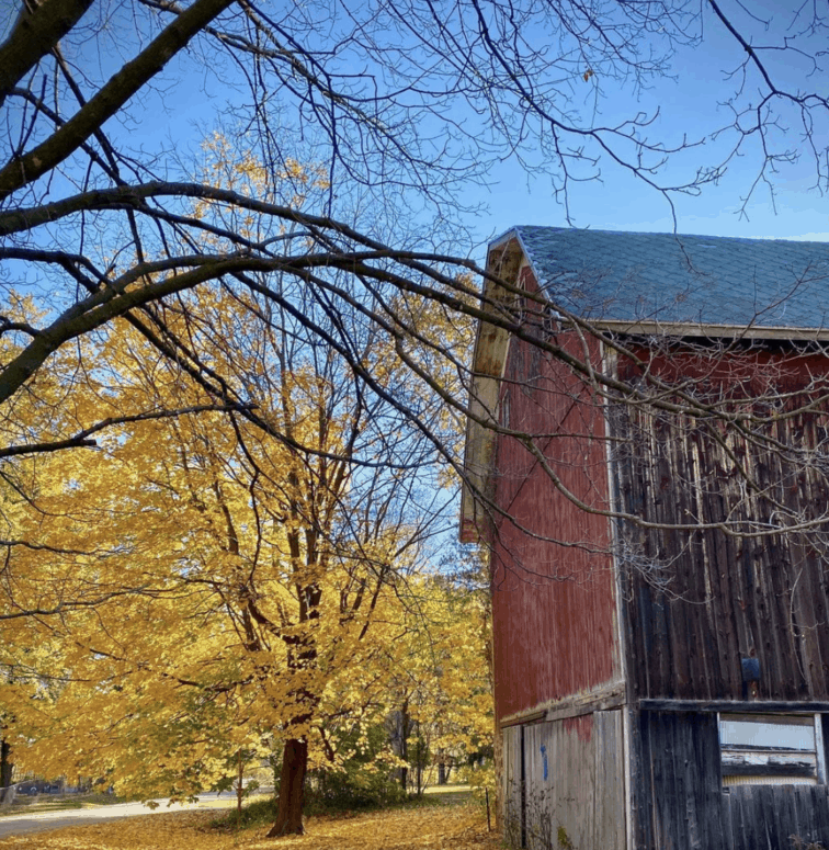 M-43 - West Michigan Fall Scenic Drives