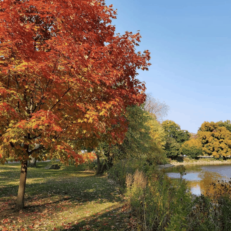 Old U.s. Highway 27 - West Michigan Fall Scenic Drives